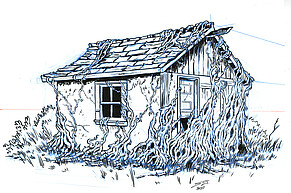 Vine-Covered Shed